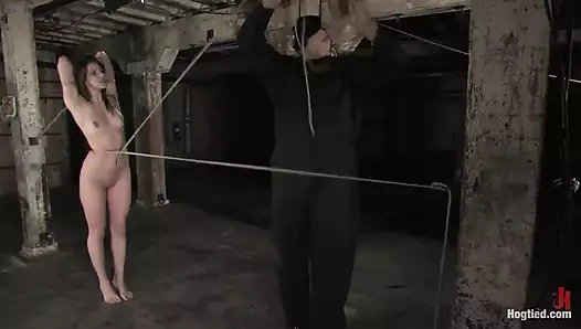 Bobbi Starr - Hogtied