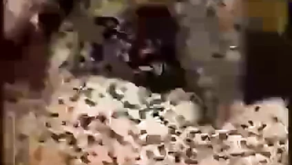 Hotwifes ile onların bbc derleme