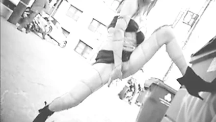 Bal arısı tarafından trans halinde