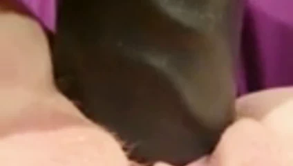 Benim kedi vs benim büyük siyah yapay penis