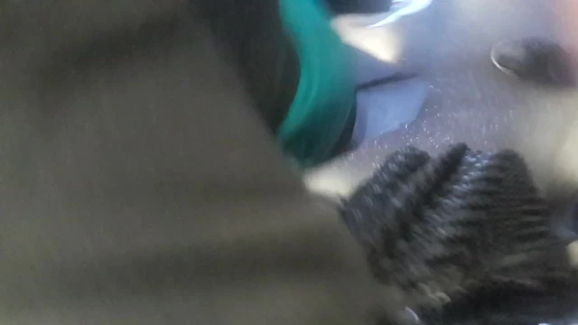 Culona en tren
