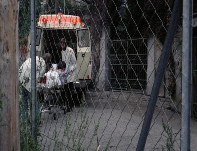 Frauen ohne Unschuld