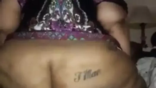 Sarı abanoz gilf binici