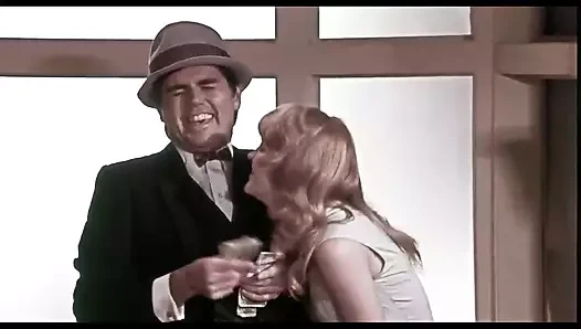 1981 - sarışınlar daha çok eğlenir