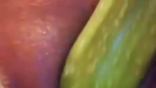 kedi içinde balkabağı