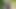 Sokakta sikilen italien kız sokakta sikiliyor Ada Paradiso