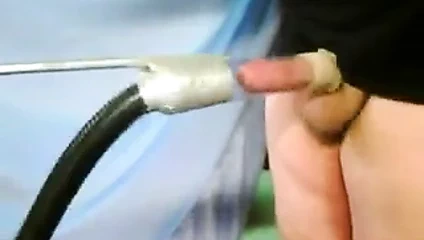 Yalnız evli horoz sağım makinesine sığınıyor