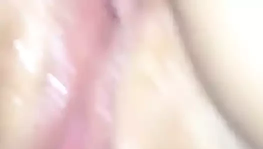 Yakın çekim kedi oyun yeni oyuncak