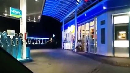 Herr Arnold's Sau 01