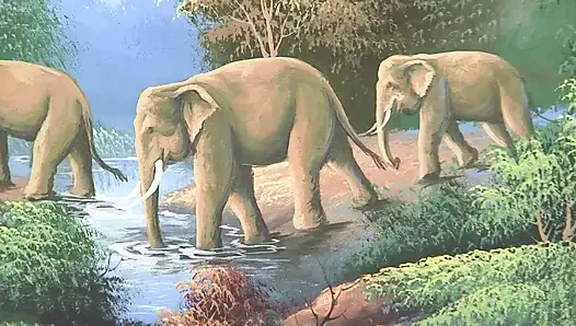 Beyaz kadın zenci adam tarafından sikiliyor