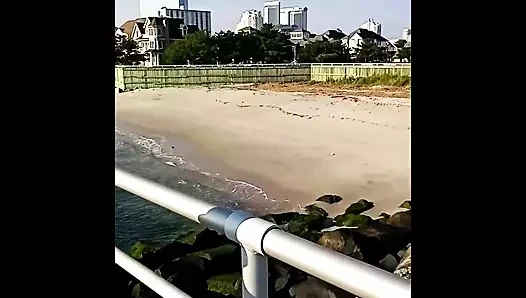 The Shorehouse video 315616