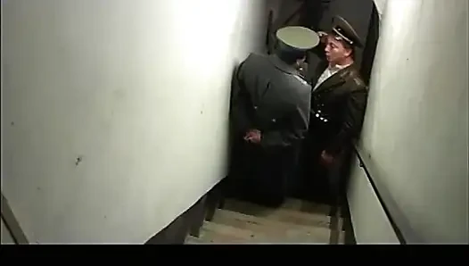Şöhret - DVD