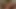 Porno 20866