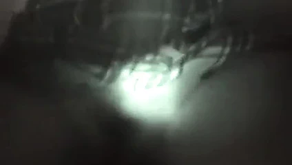 Amatuer Asyalı ev yapımı eş değiştirenler