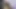 Büyük göt Hint genç dik zambak Başlarken şaplak