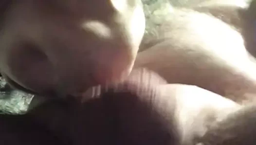 Şu fındıkları al.