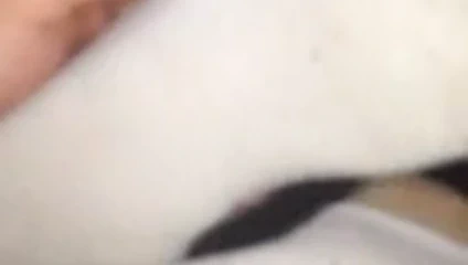 Ashley seksi çorap sniff