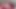 Sevimli hatun yatakta amını parmaklıyor ve dildo yapıyor