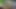 Çok seksi ateşli Hintli kız ve seksi erkek arkadaş seksin tadını çıkarıyor