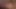 Borç4k. genç kızın juciy kedi borcu kapatmak için yeterli maliyeti
