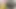 Hintli kadın pembe dudaklarıyla büyük yarak emiyor