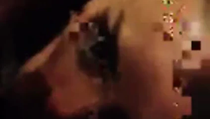 Yaramaz kuş suckimf benim essex horoz