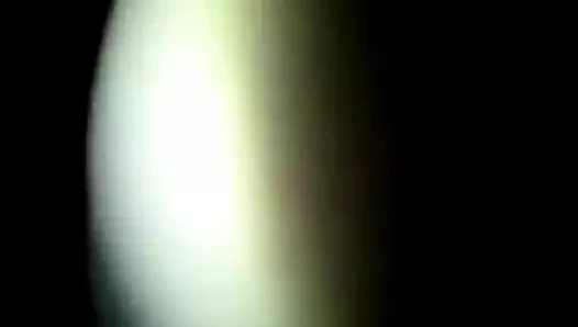 Mısırlı amcık prens2010