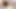 Pov: licking the pussy of the biggest ass girl in school, with cumshot in the ass