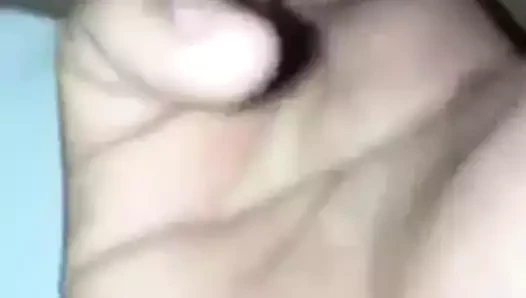 Lungkondoi parmak eş kedi