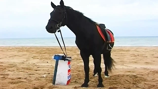 90'ların mükemmelliği 8