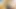 Rule34 michie sikiş makinesi 3d hentai - klitoris vibratör, çifte penetrasyon anal boncuklar dildo, sansürsüz animasyonda fışkırtma