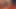 Seksi esmer kıllı amına dildoyla mastürbasyon yapıyor