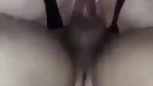 hatuna cift dalmislar