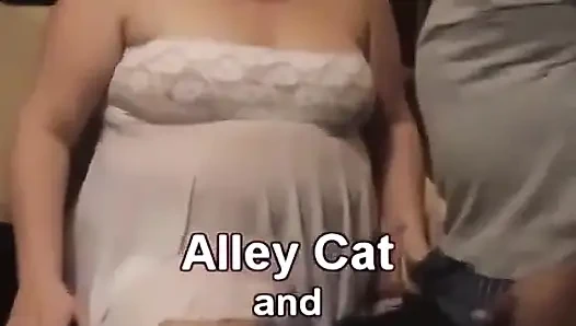 İri güzel kadın sokak kedisi will'den ıslak dölleniyor