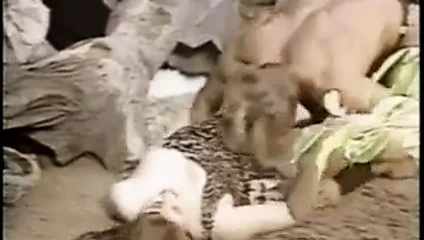 Francois papillon - kulüp egzotik (1986)