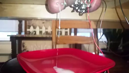 Sağım tablasına hızlı yükleme tahmini