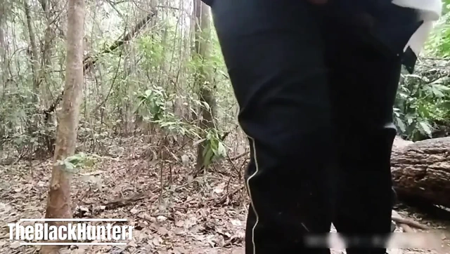 Park güvenlik görevlisiyle seks