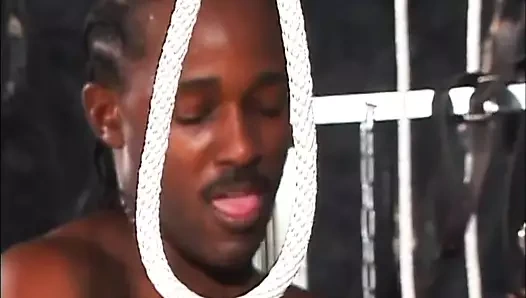 Siyah sert horoz için seksi vahşi abanoz sürtük