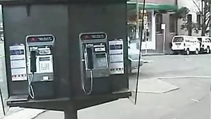 Kirazın tatlıları 1