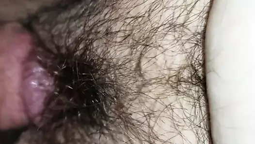 Ssbbw çok kıllı kedi