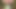 Man fucks woman with big cock in the forest, woman is very happy.