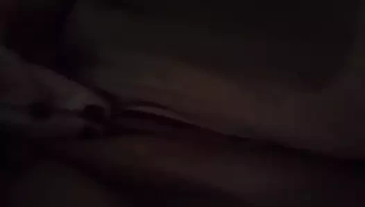 sulu kedi