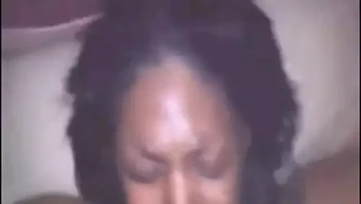 Barovida mayri psola