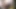 Güzel siyah sürtük uzman yarak emici ile ırklararası bir çift için ilk kez oyuncu seçmeleri