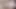 Tranny oynuyor yeni kedi