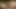 İllüstrasyondan sonra tahrik edilen orta yaşlı seksi kadınlar sikişmeye başladı ve tutkularının kendileri için konuşmasına izin verdi