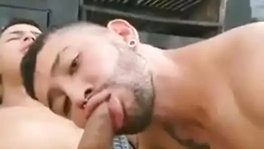 culiando en colombia