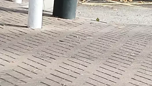 Polis baskın adım anne kahrolası içinde the araba ile adım oğul