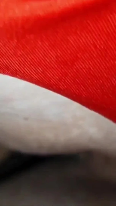 Обязательный для обмена момент из "Она обожает трахаться с ее красными трусиками"