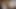 Gave a Blowjob to a Hairy Guy with a Big Dick and Brought Him to Orgasm Cum in His Mouth